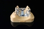 Impressora dental Cobalt High Purity do metal do Slm de Riton Selective Laser Melting Powder